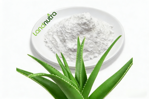 Extracto de <span class=keywords><strong>Aloe</strong></span> <span class=keywords><strong>Vera</strong></span> de Grado Alimenticio a Precio de Fábrica, Polvo de <span class=keywords><strong>Aloe</strong></span> Emodina de Alta Pureza a Granel - Product Image 2