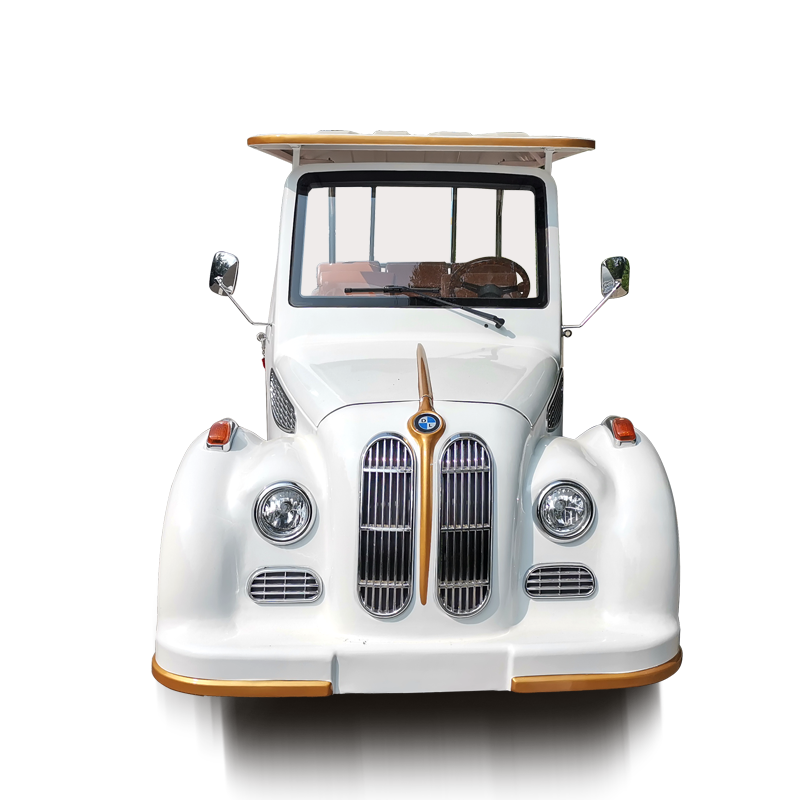 8 11 Seater New Energy Vehicle