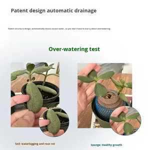Esponja Minimalista para <span class=keywords><strong>Suculentas</strong></span> sin Tierra, <span class=keywords><strong>Sustrato</strong></span> Hidropónico, Hecha a Mano, para Flores/Plantas Verdes - Product Image 3