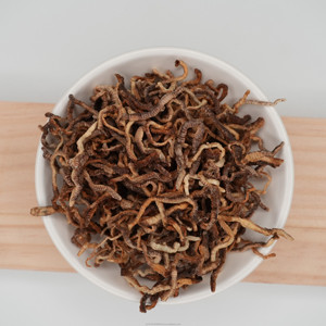 Nhà Máy bán hàng trực tiếp đóng băng khô Giun đất thức ăn vật nuôi cho cá tối ưu dinh dưỡng - Product Image 4