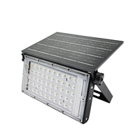 Projecteur LED portable 50W pour extérieur, jardin et aménagement paysager, IP65, éclairage solaire, télécommande, capteur, ABS, aluminium, ROHS