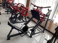 Vente en gros directe usine – Entraînement des muscles dorsaux et des bras pour la musculation à usage commercial