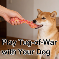 Juguete Interactivo para Perros con Forma de Mancuerna Clásica, Resistente a Mordidas, con 2 Pelotas, para Limpiar los Dientes y Jugar en Interiores