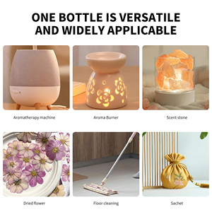 Aceite de fragancia de fábrica al por mayor para hacer perfumes China Guangzhou aceite esencial compuesto de árbol de té de sándalo de alta concentración - Product Image 5