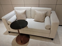 Juego de Sofás Modernos Clásicos de Fábrica, Sofá de Tela para Varias Personas, Sofá de Hotel Cómodo, Espuma de Alta Densidad para Apartamento