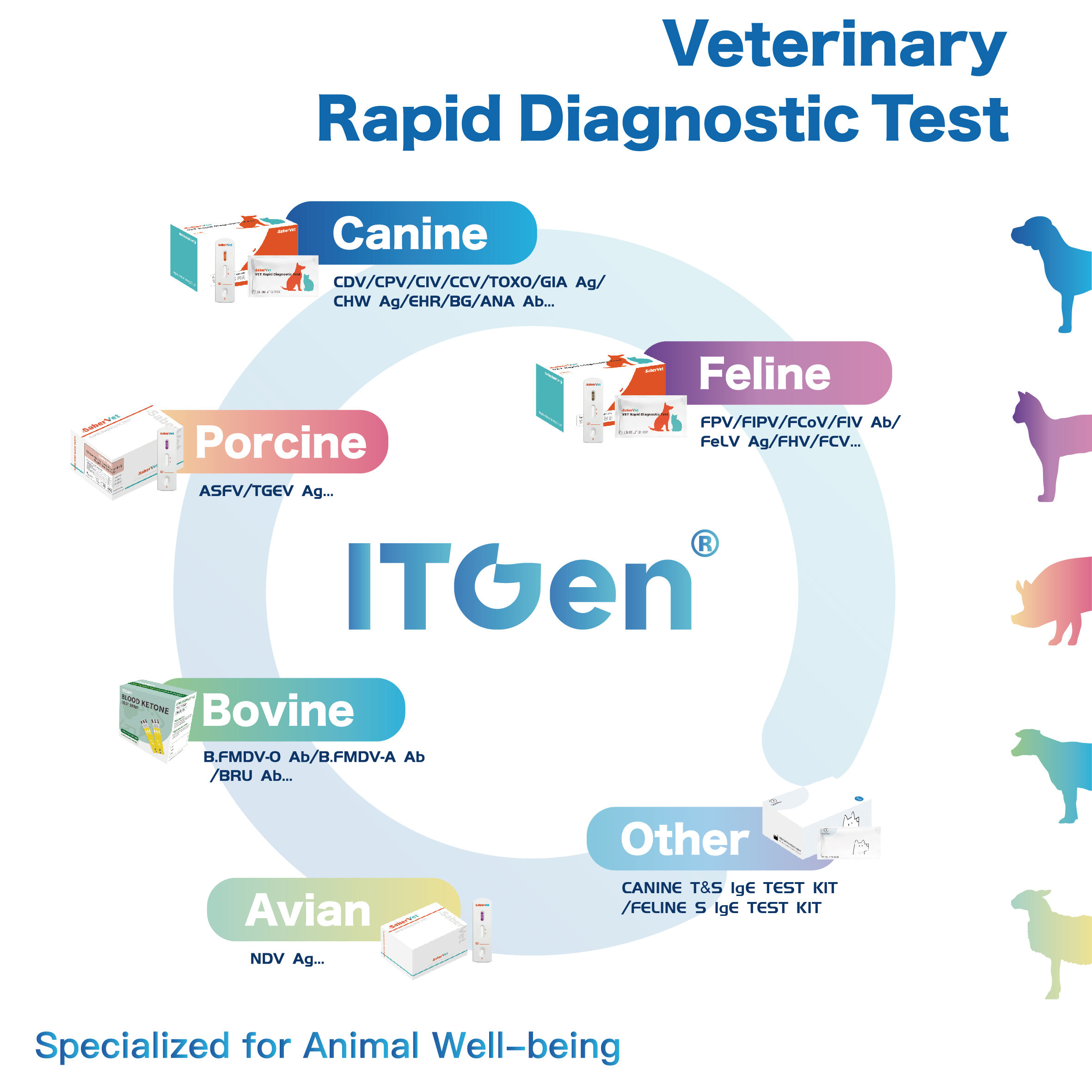 SaberVet High Quality Veterinary Products Rapide test Bovine Blood test  Glucose test Strips