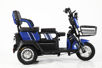 Tricycle électrique à trois roues de haute qualité, durable, de fabrication chinoise, nouveau modèle, 600W, 800W, moteur 1000W, vente en gros