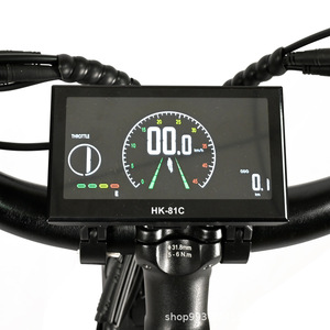 Bicicleta Eléctrica de Montaña para Adultos, 20 Pulgadas, Doble Motor, 48V 1000W, 7 Velocidades, Cuadro de Aluminio, Suspensión Trasera, P139, Potencia de Doble Motor 10 - Product Image 4