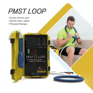 Perawatan fisik Loop PMST portabel, terapi transduser Magneto, mesin perawatan nyeri tubuh elektromagnetik