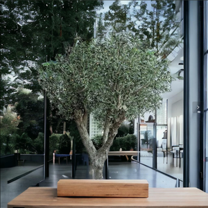 Haut de gamme personnalisé grande plante au sol décorative fleur forgée soie <span class=keywords><strong>en</strong></span> <span class=keywords><strong>pot</strong></span> <span class=keywords><strong>olivier</strong></span> artificiel matériel <span class=keywords><strong>en</strong></span> soie de qualité supérieure - Product Image 4