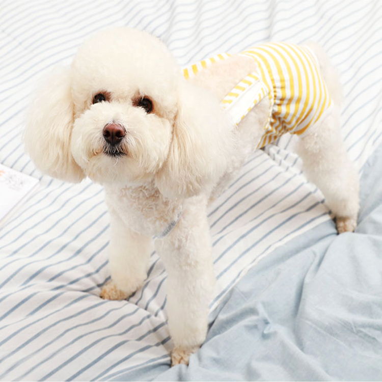 Rayure Sanitaire Culotte avec Sangle Réglable, Physiologiques Pantalons Pet Sous-Vêtements Couches pour Fille Chien