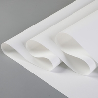 Rouleau de toile amovible repositionnable grand format éco-solvant imprimé imperméable mat brillant jet d'encre pour papier d'art mural