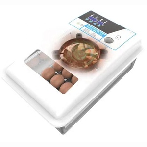 Jiatai giá rẻ tự động Máy Ấp Trứng Nở trứng 24 trứng lồng ấp điện kép Máy Ấp Trứng - Product Image 4