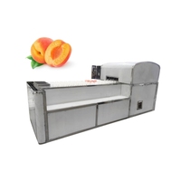Équipement de dénoyautage de fruits en acier inoxydable machine à fendre la coupe la pomme la poire