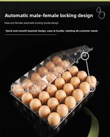 Boîte de rangement pour œufs en plastique transparent de qualité alimentaire, rectangulaire, jetable, pour supermarché, plateau à œufs en plastique, œufs de canard, œufs de poulet de plein air