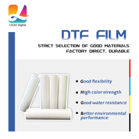 Film d'impression DTF direct usine compatible avec le polyester, le coton, le denim et tous les tissus