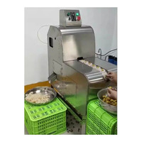 2022 Industriële Kersenpitmachine Mini-Zure Kersenkern Put Verwijdermachine Voor Fruit-En Groenteverwerking Perzik Appelpeer