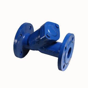 Filtre en Y PN16 (à bride) - Product Image 3