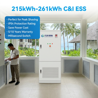 Sistema de Almacenamiento de Energía Industrial y Comercial VANYO de 261 kWh y 125 kW, Gabinete de Almacenamiento de Energía Eólica y Solar para Reducir Picos de Demanda