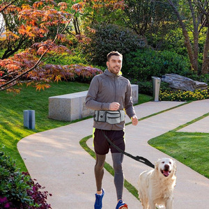 Riñonera deportiva con correa para perro, con tiras reflectantes, impermeable, para correr, ciclismo y caminar - Product Image 2