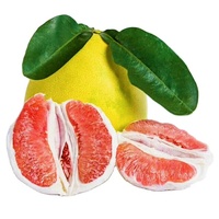 Verse rode pomelo en witte pomelo, zoete, sappige honingpomelo, groothandel export leverancier