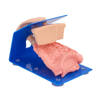 Modelo de catéter masculino de vendaje avanzado modelo de práctica de cateterismo uretral femenino con Base para entrenamiento de atención médica