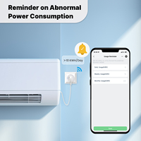 Tuya Smart Matter Plug Prise WiFi 16A Prise de courant Moniteur de puissance Prise en charge de la télécommande AppleHome Google Home Alexa Smartthings