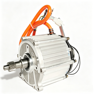 Motor DC Diferencial de 48V com Ímã Permanente 6N.m, Freio Eletromagnético de Cobre Completo para Triciclo de Carga - Product Image 4
