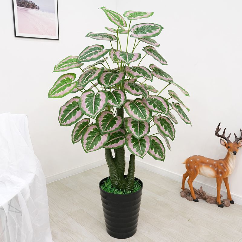 140 cm/Foglia di taro pavone-rosa