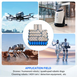 Batteria al Litio Samsung 21700 da 51.8V 30Ah, Alta Densità Energetica, Alimentazione Professionale per Robot Umanoidi Industriali - Product Image 3