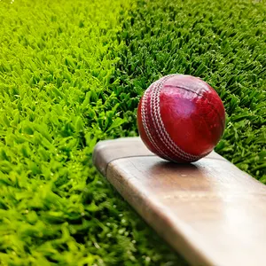 क्रिकेट पिच के लिए इनडोर आउटडोर स्पोर्ट्स सिंथेटिक लॉन कालीन कृत्रिम घास टर्फ