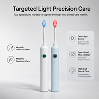 Brosse à dents portable Luxsmile pour adultes en acier inoxydable, écologique, lumière rouge/bleue, fournisseur OEM/ODM, logo personnalisé, étanche IPX7