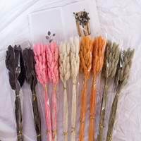 50 Pcs/Bundel Rumput Canary Kering Phalaris Alami Terawetkan Grosir untuk Dekorasi Pernikahan Boho DIY