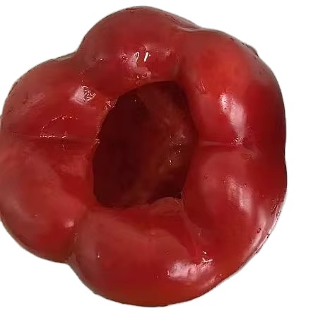Organic Red Bell Pepper IQF Diced Frozen Fruit in Chopped Strip Block Patterns Affordably Priced Greenhouse Grown