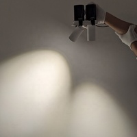 Lumière LED encastrée, double tête orientable, downlight réglable et évolutif, spots multiples pour solution commerciale