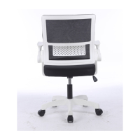 Chaises de bureau de base colorées avec accoudoirs réglables rabattables pour bureau à domicile Études pour enfants Design moderne Matériau en maille