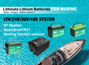 Sistema de Calefacción con Monitor BT Impermeable Lithmate, Batería de Ciclo Profundo de 24 Voltios, Batería Marina de Litio de 24V 100Ah, 24v 100ah, 24V 100Ah Li - Product Image 3