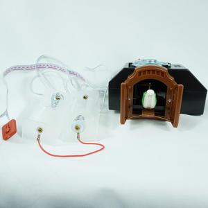 Linh Kiện Đồng Hồ Cúc Cu Chất Lượng Cao Bán Chạy - Product Image 4