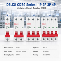 DELIXI CDB9 Mini Circuit Breaker 1P 2P 3P 4P B C D Type 63A 6kA 10kA MCB CE Certified Factory Ready Stock