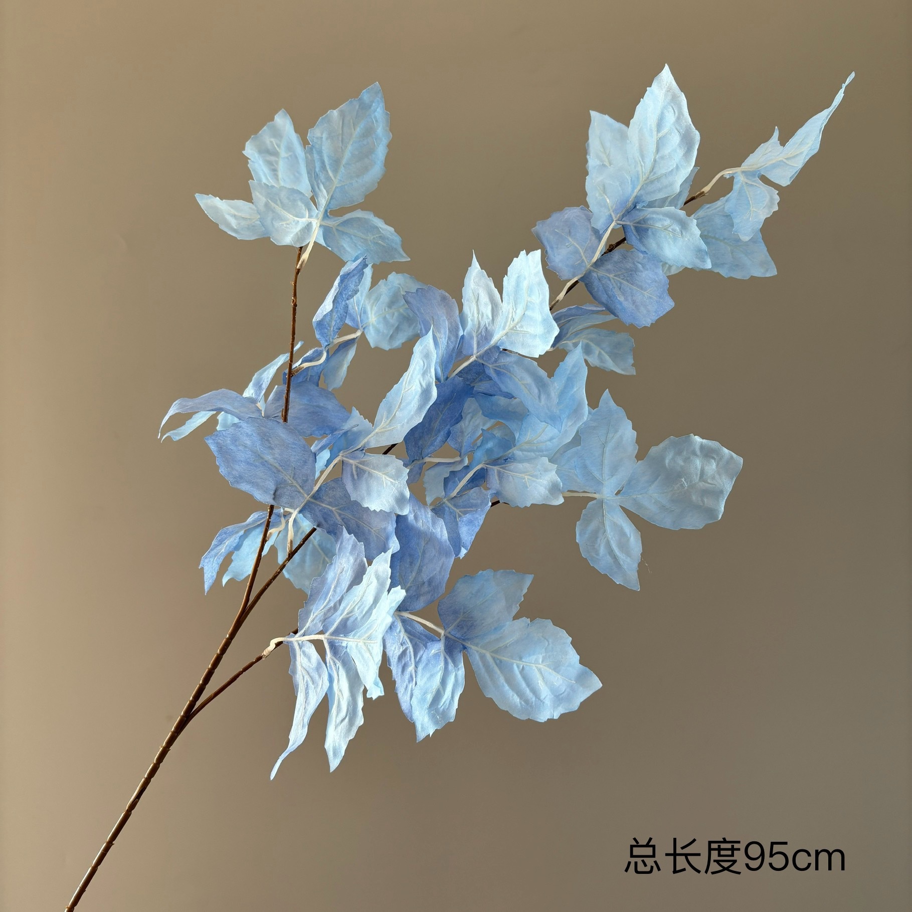 Feuille de Bluebird