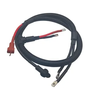 Manufacturers Customized Automotive Wiring Harness Engine Connection Wire