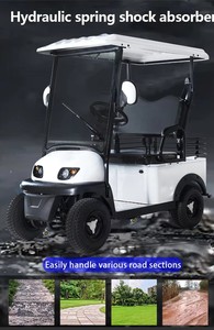 Voiturette de golf électrique de luxe 2 places à moteur sans balais, confortable, batterie 60V, personnalisable, tout-terrain, autonomie 50-70km, prix usine, à vendre - Product Image 2