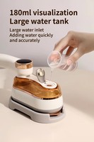 Mini Fer à Repasser Portable, Utilisation Double (Sec et Vapeur), Réservoir d'Eau de 180 ml, Vapeur Puissante pour un Repassage Sans Plis des Vêtements