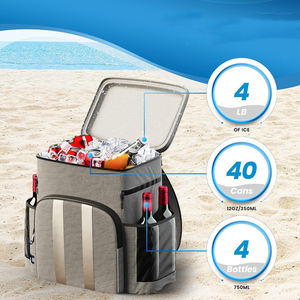 Mochila enfriadora portátil suave grande personalizada con Win VBag refrigerada aislada impermeable recargable bolsa enfriadora plegable - Product Image 3