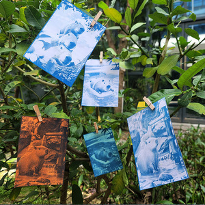Kit DIY de carte postale cyanotype A6 Capybara - Forme rectangulaire, motifs multiples, couleur bleue - Product Image 1