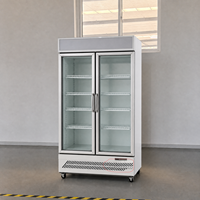 Congélateur vertical à double porte vitrée, refroidissement par air, contrôle numérique de la température, sans givre, 941L, bar