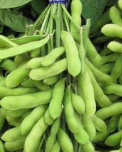 Granos de Edamame Congelados, Soja Congelada, Proveedor Verificado en China, Ofrece Empaque <span class=keywords><strong>y</strong></span> Color Personalizados - Product Image 5