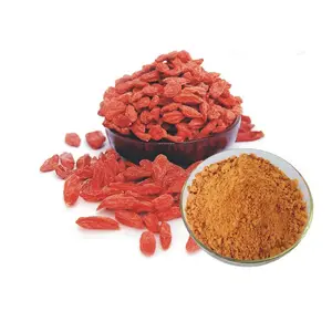 Extracto de bayas de Goji chinas de alta calidad, extracto de Wolfberry, polvo de extracto de Goji