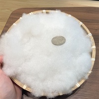 Meilleur prix pour le rembourrage en fibres de polyfill vierges en gros