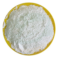 Terre de diatomée calcinée de qualité industrielle en gros, poudre blanche haute porosité, pureté 99%, auxiliaire de filtration pour l'eau, de Chine